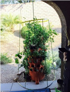 Hula Hoop Trellis